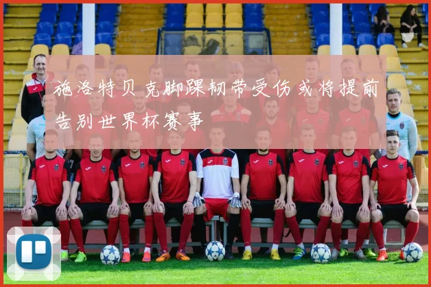 施洛特贝克脚踝韧带受伤或将提前告别世界杯赛事